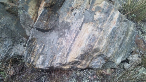 Гигантские зелёные валуны для ландшафтного дизайна весом более 5 тонн купить в Сибае